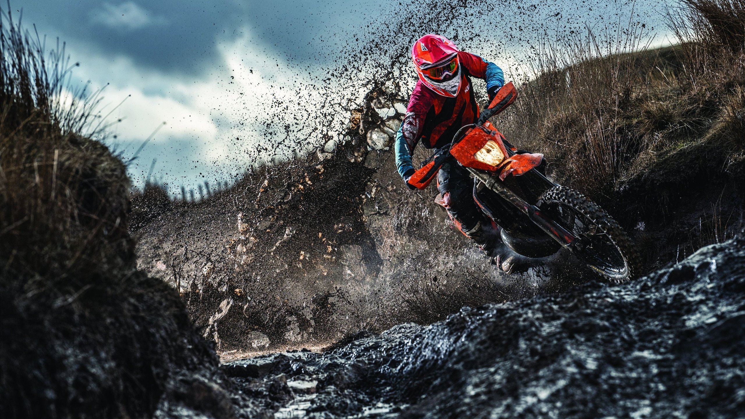 巴西马术协会推出马术运动员健康管理系统,关注运动员身心健康。